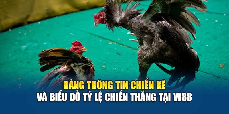 Bảng thông tin chiến kê và biểu đồ tỷ lệ chiến thắng tại W88