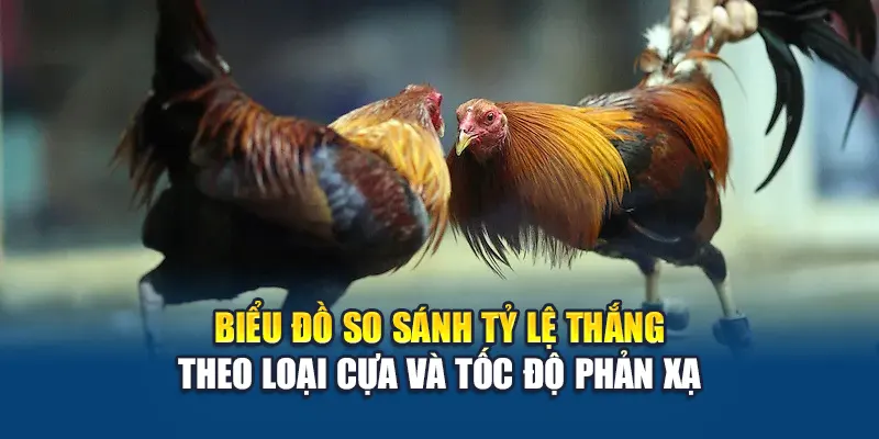Biểu đồ so sánh tỷ lệ thắng theo loại cựa và tốc độ phản xạ