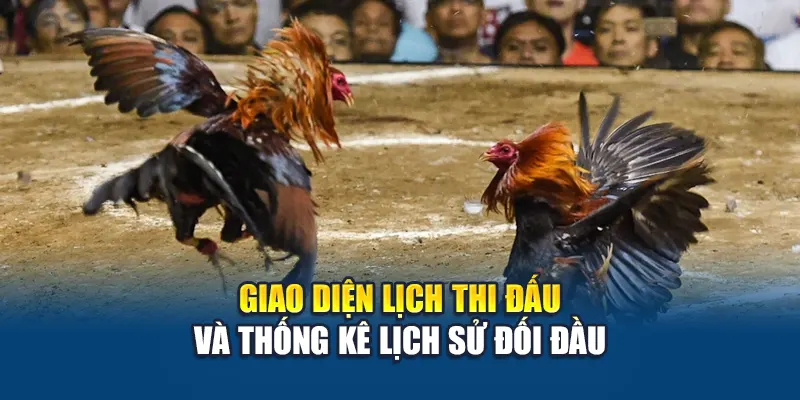 Giao diện lịch thi đấu và thống kê lịch sử đối đầu